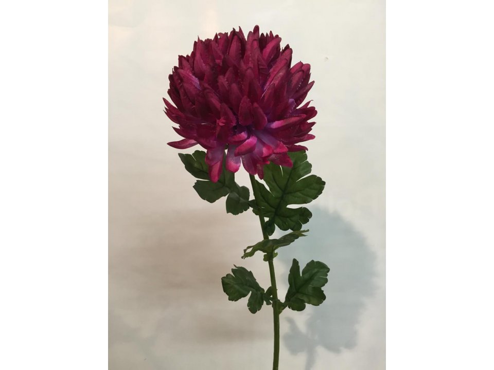 79CM SINGLE MUM BURGUNDY X3 Something special