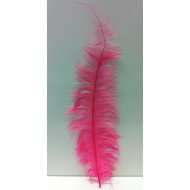 1/2 lb - 18-24 CREAM Large Wing Plumes Wholesale Feathers (bulk)