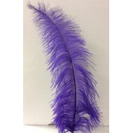 Ostrich Feathers, 100 Pieces 8-10 Turquoise Blue Ostrich Dyed Drab Body Wholesale  Feathers bulk : 2042 -  Denmark